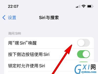 苹果13怎么唤醒Siri?苹果13唤醒Siri教程截图