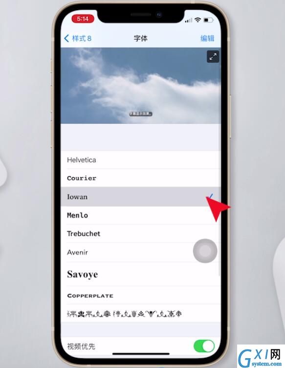 苹果手机如何设置字体样式?苹果手机更改字体教程介绍截图