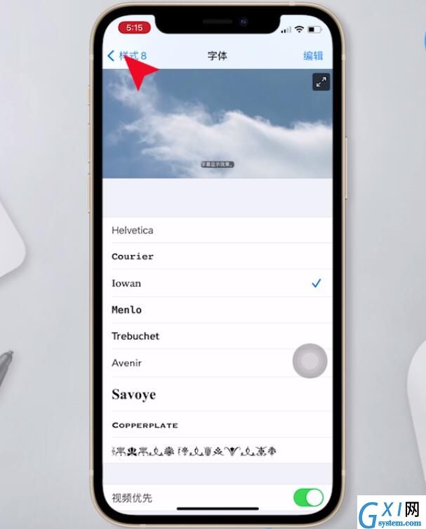 苹果手机如何设置字体样式?苹果手机更改字体教程介绍截图