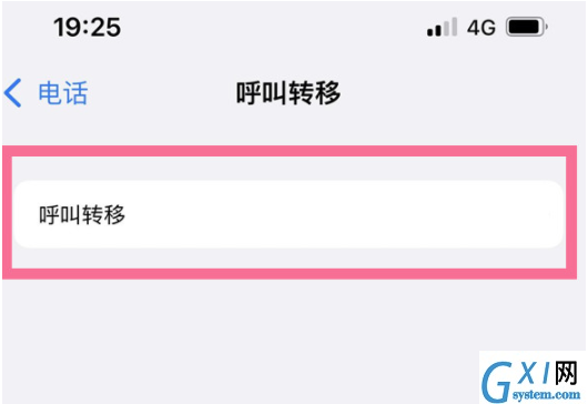 iPhone13呼叫转移怎样设置?iPhone13添加呼叫转移号码流程介绍截图