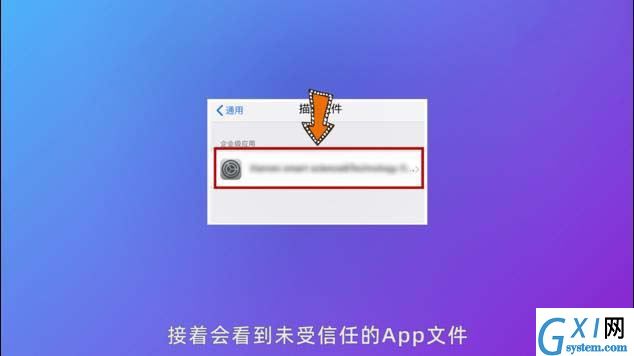 iphone手机如何打开信任授权？iphone手机打开信任授权操作方法截图