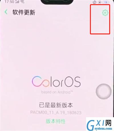 在OPPO R15x中关闭系统自动更新的具体讲解截图