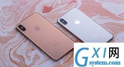 iPhone xs中设置自动亮度调节的具体方法