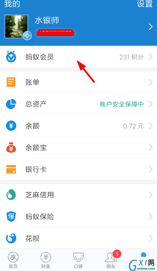 支付宝APP查看蚂蚁会员月报的操作流程