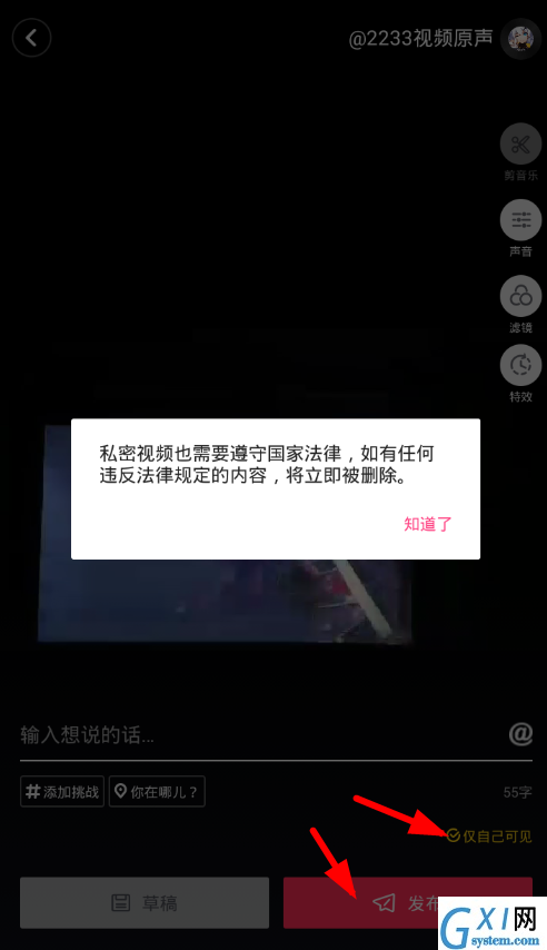 抖音app发布隐私作品的详细操作截图