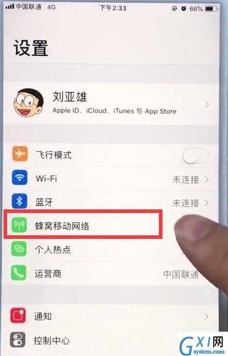 在苹果7plus中查看移动流量的详细讲解截图