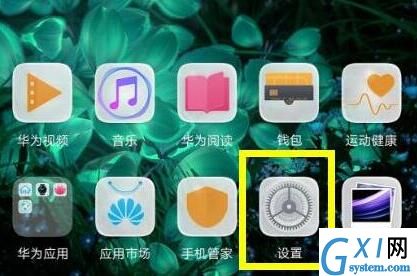 在华为mate20 Pro中隐藏刘海的方法截图