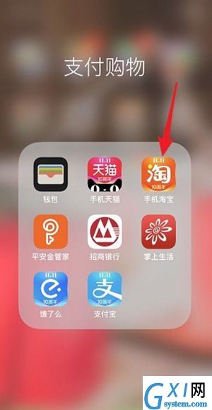 在淘宝里查看我的双11的详细操作截图