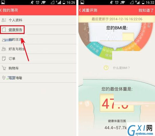 薄荷APP查看健康报告的操作过程截图