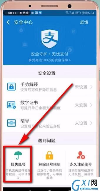 支付宝账号进行挂失的具体操作截图