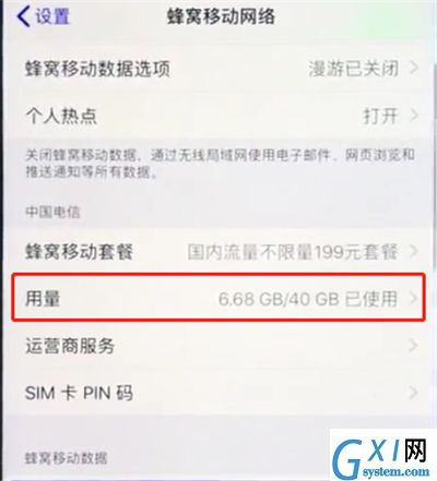 ios12中查看流量数据的详细讲解截图