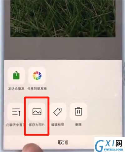 苹果7plus截长图的详细操作截图