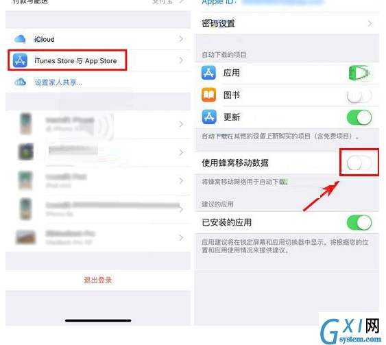 iPhone X设置禁止流量更新应用的操作过程截图