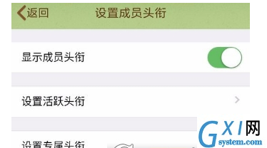 qq群头衔设置的方法讲解截图