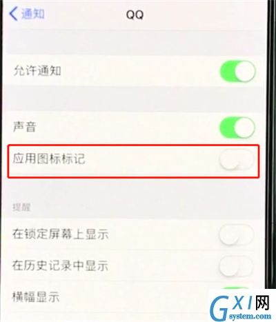 iphonexr关掉APP小红点的详细操作过程截图