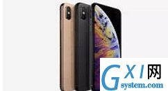 在iPhoneXs Max中设置呼叫转移的图文教程