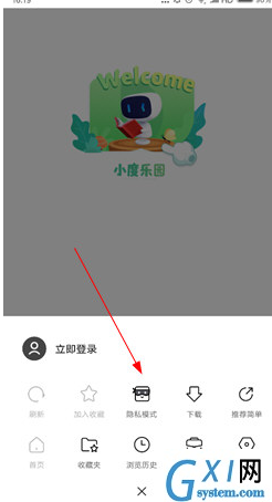 简单搜索中隐私模式使用的详细介绍截图