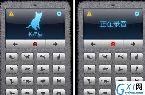 人猫交流器app使用的详细讲解