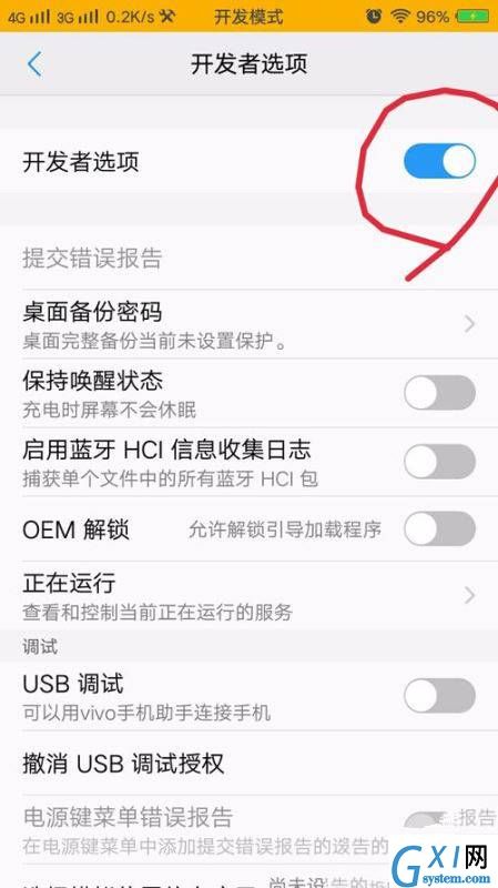 在vivox20中开启开发者选项的具体方法截图
