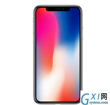 iPhone X设置禁止流量更新应用的操作过程