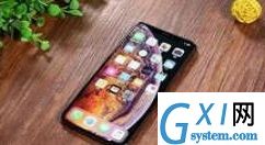 在iPhoneXs Max中添加紧急联络人的具体方法