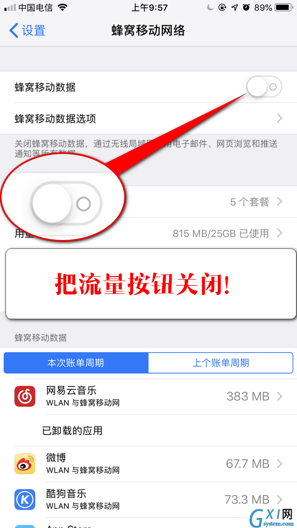 iPhone流量下载被限制的处理操作讲述截图