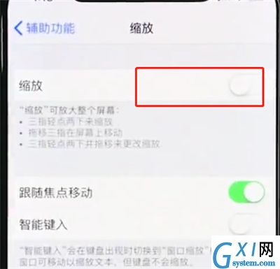 iphonexr使用缩放的详细操作过程截图