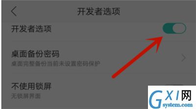 在oppo find x中关闭开发者模式的图文教程截图