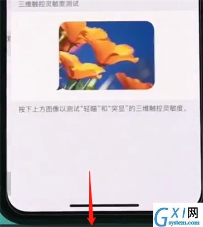 iphonexs开启半屏功能的操作流程截图