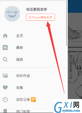 pixiv注册高级会员的方法讲解