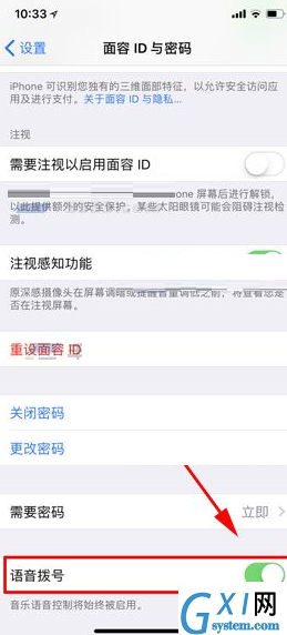 iPhone X设置语音拨号的操作过程截图