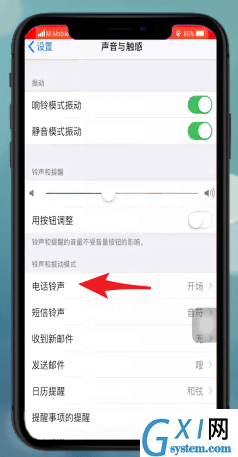 苹果xr设置铃声的操作流程截图