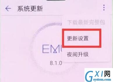 荣耀8x关掉系统自动更新的操作过程截图