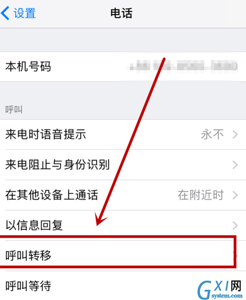 iphone设置呼叫转移的操作流程截图