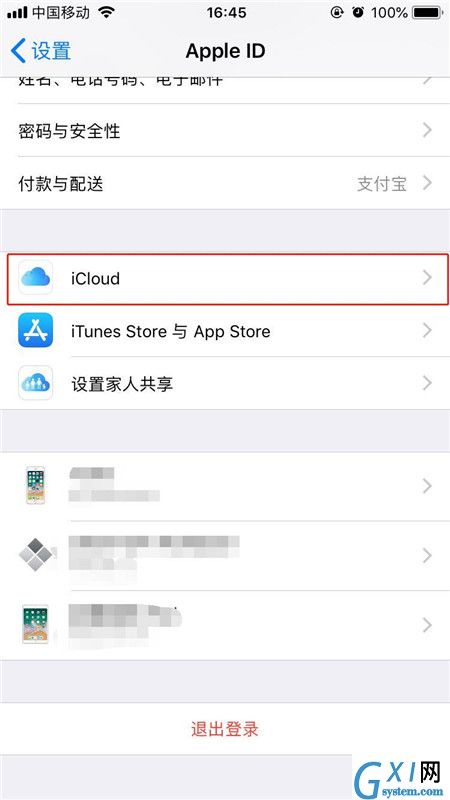 iphonexs购买内存的详细操作截图