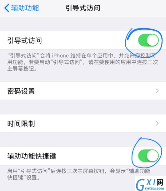 iPhone打开引导式访问功能的基础操作截图