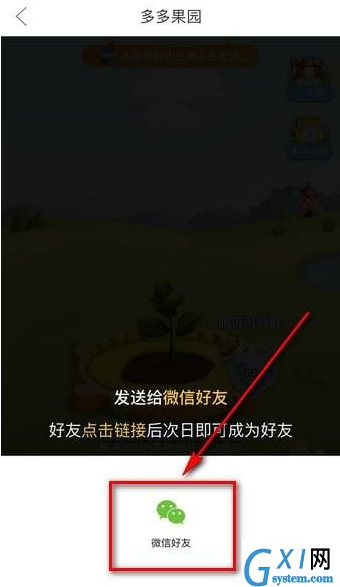 在拼多多果园APP中加好友的图文教程截图