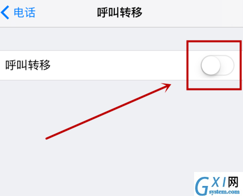 iphone设置呼叫转移的操作流程截图