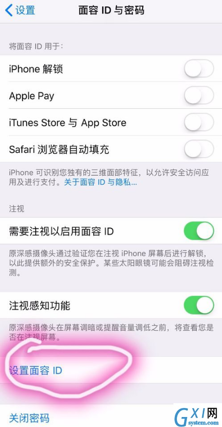 在iPhone xs max中设置人脸识别的图文教程截图