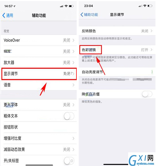 iPhone X设置色彩滤镜的操作过程截图