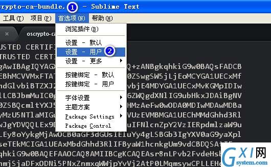 在sublime text中设置禁止打开上次关闭未退出的文件的方法讲解截图