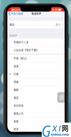 苹果xr设置铃声的操作流程截图