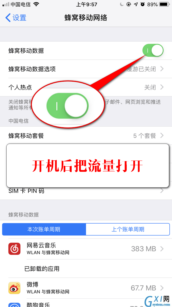 iPhone流量下载被限制的处理操作讲述截图