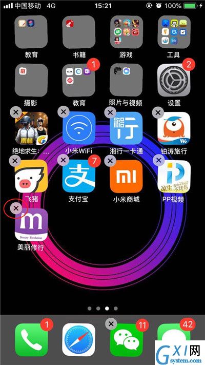 在iphonexs中卸载App的操作步骤介绍截图