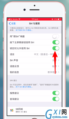 苹果手机开启siri功能的操作流程截图