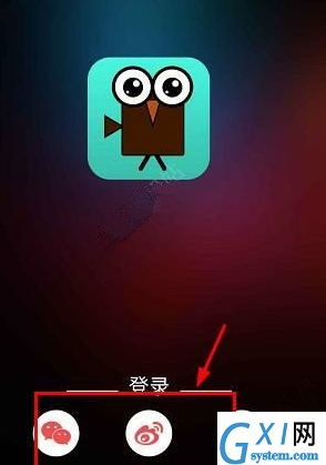 播浪直播app快速登录的具体操作步骤