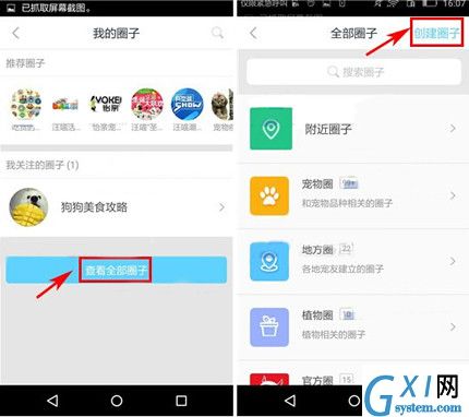 在波奇宠物APP中创建圈子的详细步骤截图