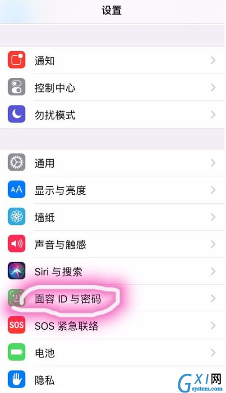 在iPhone xs max中设置人脸识别的图文教程