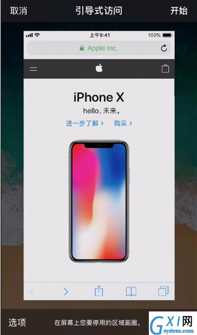 iPhone使用引导式访问的操作过程截图