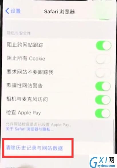 iphonexr清除Safari历史记录的操作流程截图